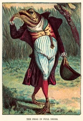 De kikker in vol ornaat